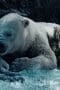 Nonton film His Dark Materials Season 1 Episode 5 terbaru di Dutamovie21 Nonton film His Dark Materials Season 1 Episode 5 terbaru di Dutamovie21