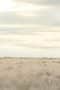 Nonton film Breaking Bad Season 3 Episode 13 terbaru di Dutamovie21 Nonton film Breaking Bad Season 3 Episode 13 terbaru di Dutamovie21