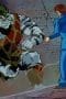 Nonton film Yu Yu Hakusho Season 1 Episode 16 terbaru di Dutamovie21 Nonton film Yu Yu Hakusho Season 1 Episode 16 terbaru di Dutamovie21