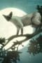 Nonton film The Sandman Season 1 Episode 11 terbaru di Dutamovie21 Nonton film The Sandman Season 1 Episode 11 terbaru di Dutamovie21