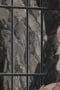 Nonton film Dr. Stone Season 2 Episode 11 terbaru di Dutamovie21 Nonton film Dr. Stone Season 2 Episode 11 terbaru di Dutamovie21