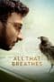 Nonton film All That Breathes (2022) terbaru di Dutamovie21 Nonton film All That Breathes (2022) terbaru di Dutamovie21