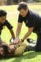 Nonton film The Rookie Season 4 Episode 5 terbaru di Dutamovie21 Nonton film The Rookie Season 4 Episode 5 terbaru di Dutamovie21
