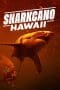 Nonton film Sharkcano: Hawaii (2023) terbaru di Dutamovie21