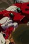 Nonton film Neon Genesis Evangelion Season 1 Episode 19 terbaru di Dutamovie21 Nonton film Neon Genesis Evangelion Season 1 Episode 19 terbaru di Dutamovie21