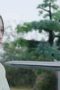 Nonton film Snow Eagle Lord Season 1 Episode 29 terbaru di Dutamovie21 Nonton film Snow Eagle Lord Season 1 Episode 29 terbaru di Dutamovie21