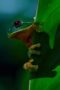 Nonton film Earthsounds Season 1 Episode 1 terbaru di Dutamovie21 Nonton film Earthsounds Season 1 Episode 1 terbaru di Dutamovie21