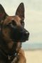 Nonton film Fallout Season 1 Episode 7 terbaru di Dutamovie21 Nonton film Fallout Season 1 Episode 7 terbaru di Dutamovie21