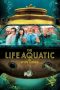 Nonton film The Life Aquatic with Steve Zissou (2004) terbaru di Dutamovie21 Nonton film The Life Aquatic with Steve Zissou (2004) terbaru di Dutamovie21